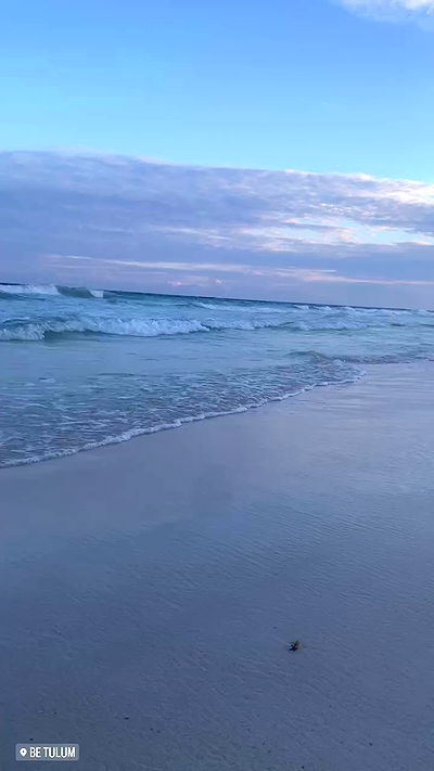 taylor.creeden taylor.creeden archive video