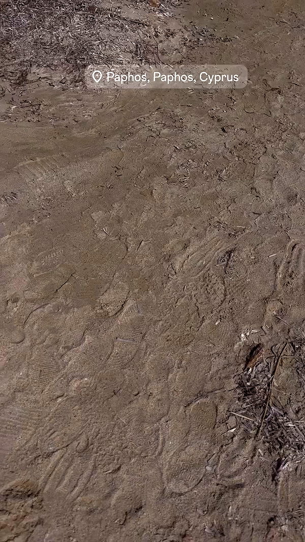 _allvi.pansk archive video preview