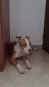 _mashachka_ Altpins Profile Picture