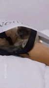 lissi77 Altpins Profile Picture