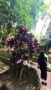 gloriastonelake Altpins Profile Picture