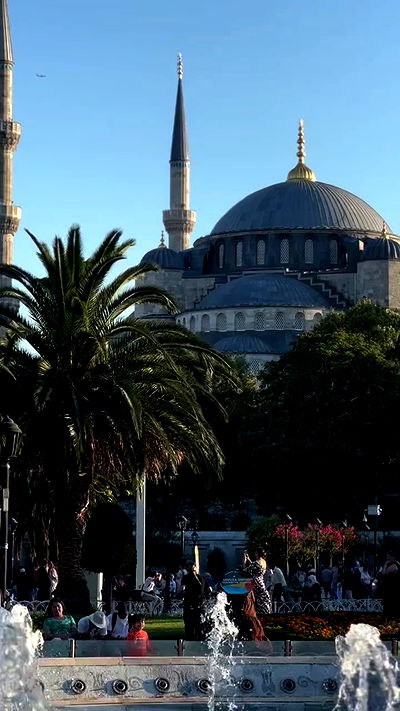 taylor.creeden taylor.creeden archive video