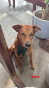 sabiyo Altpins Profile Picture