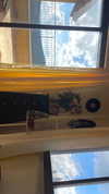libby_reut Altpins Profile Picture