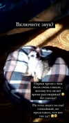 belok_bero Altpins Profile Picture