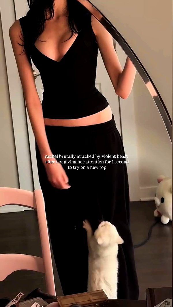 rachelchaleff archive video preview