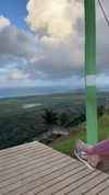 swfx_real Altpins Profile Picture