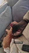 ronyida_ Altpins Profile Picture