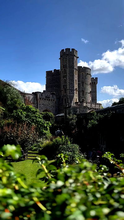 taylor.creeden taylor.creeden archive video