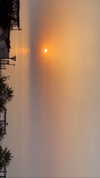 libby_reut Altpins Profile Picture