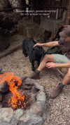 veroni22ka Altpins Profile Picture