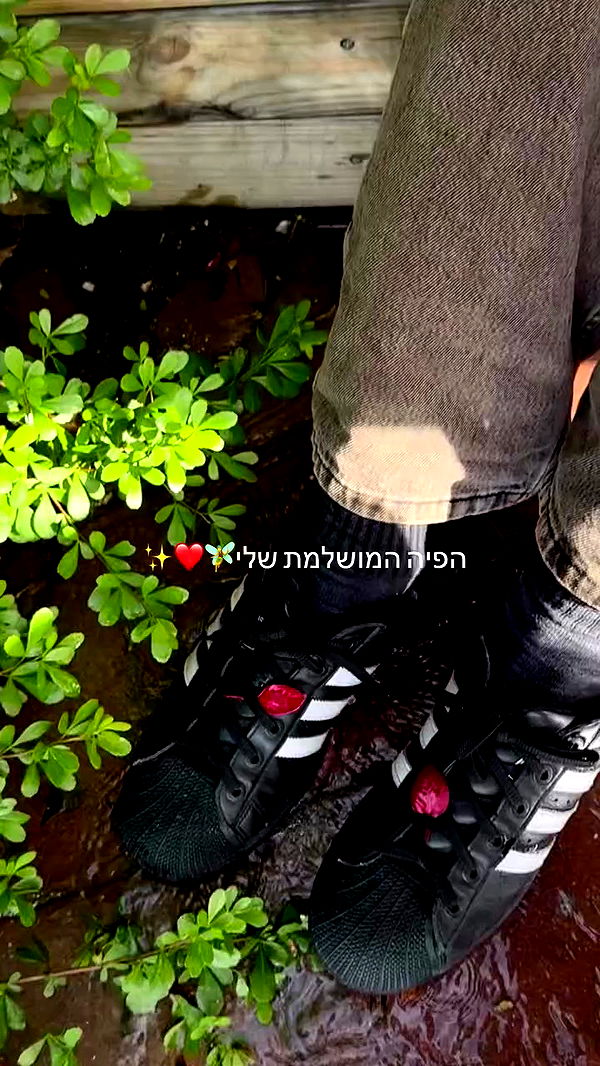 romy_ayalla_lavi archive video preview