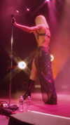 cannonstheband Altpins Profile Picture