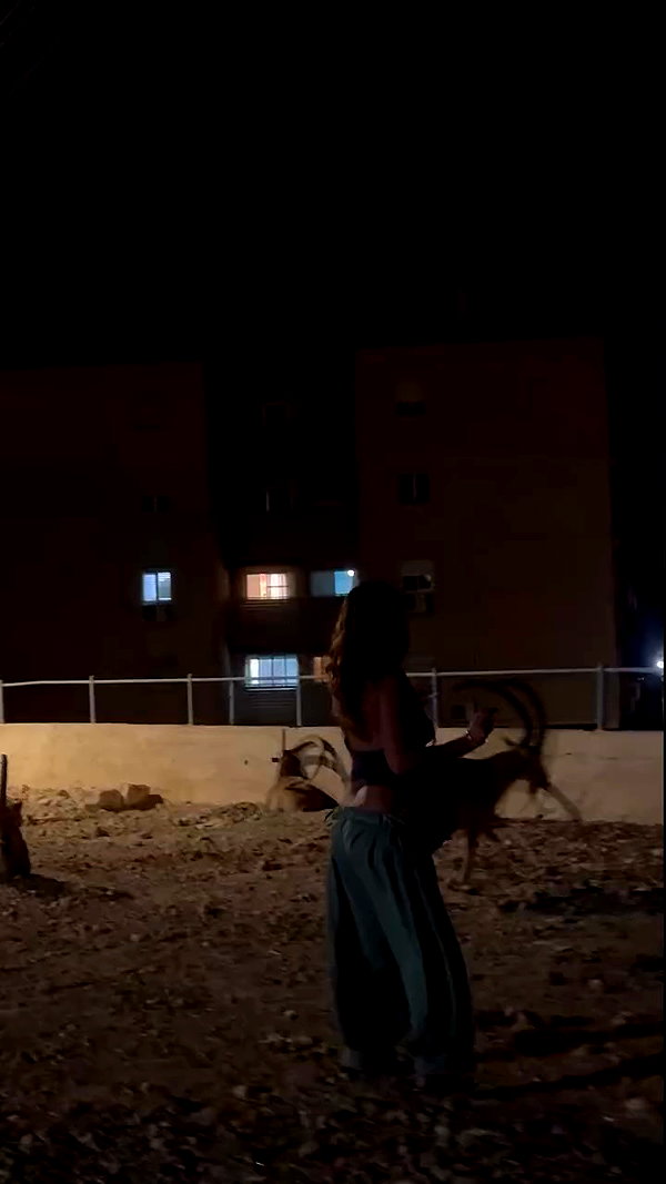 ___shachar archive video preview