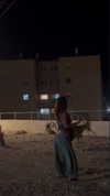 ___shachar Altpins Profile Picture
