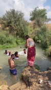 biton__adi Altpins Profile Picture