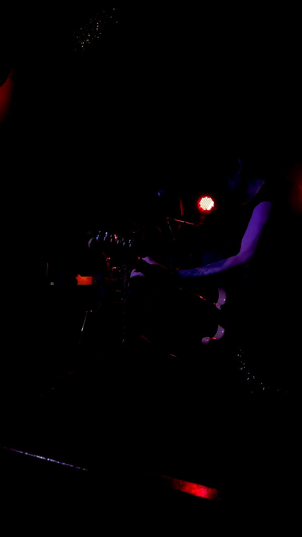 hadar._.z archive video preview