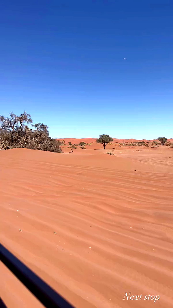 taylor.creeden archive video preview