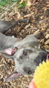 gissell_eli Altpins Profile Picture