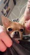 jaroslava_klavir Altpins Profile Picture