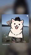 xtripleceleste Altpins Profile Picture