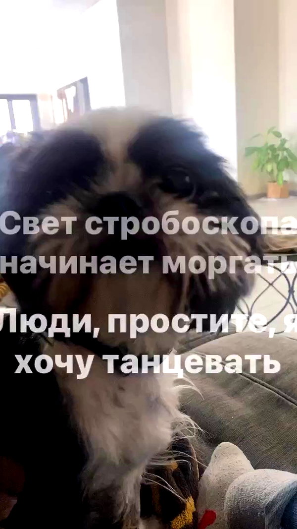 babynympho_archive archive video preview