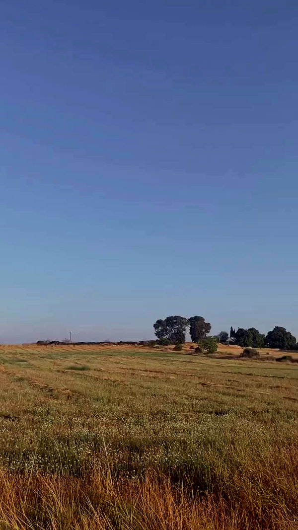 galibilaus archive video preview