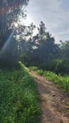 _ann.kim_ Altpins Profile Picture