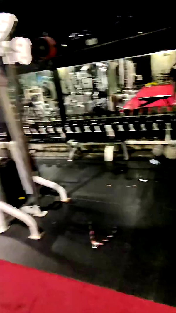 pixelpuppi archive video preview