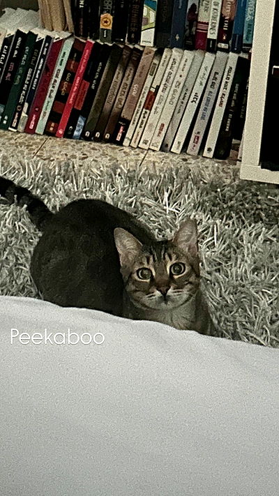 feelbetterinmysweater feelbetterinmysweater archive video