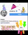 shakira Altpins Profile Picture