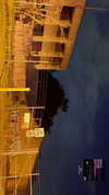 livindeadyaz Altpins Profile Picture