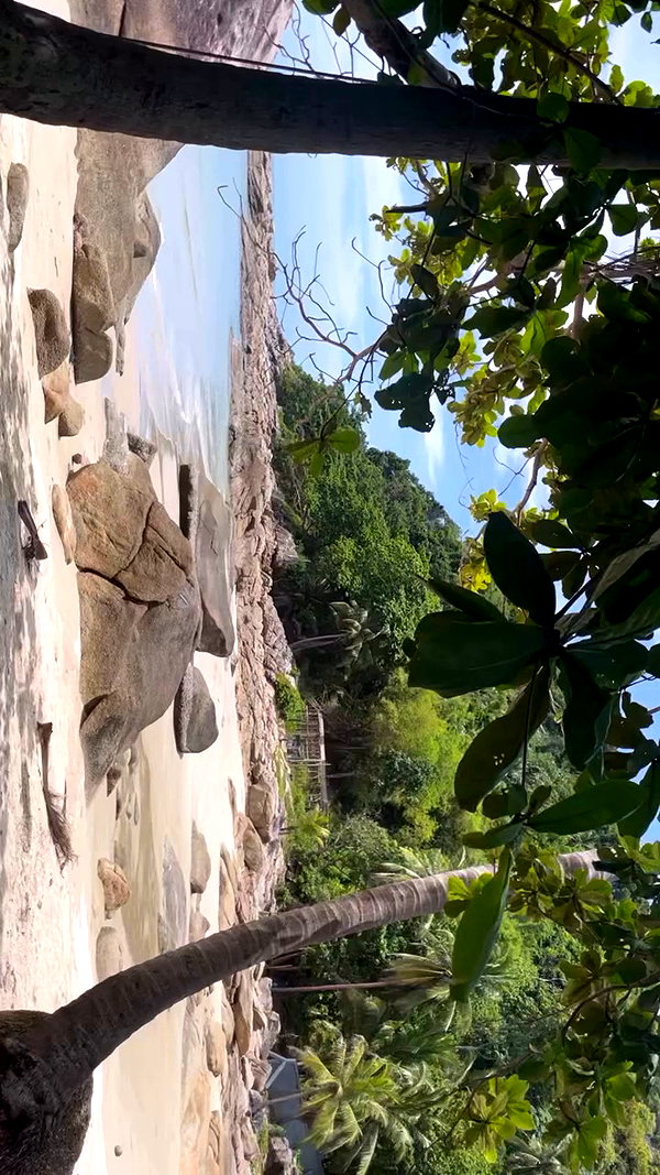elia.shinar archive video preview
