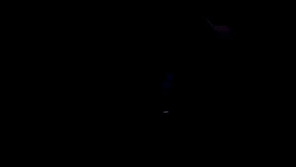 lilbieber archive video preview