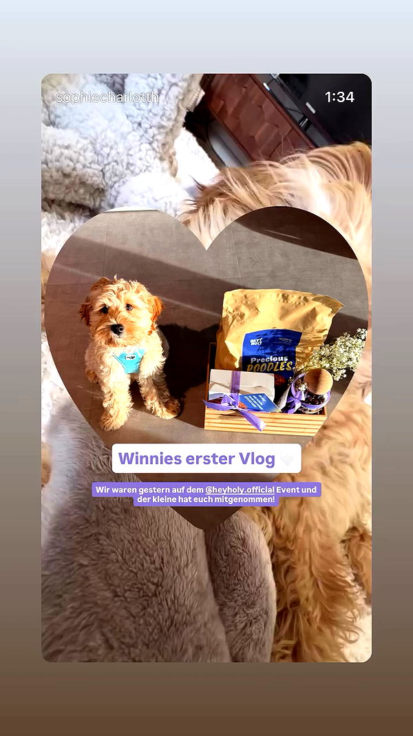 sophiecharlotth archive video preview