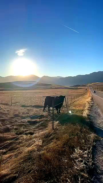 thelizzyporter thelizzyporter archive video