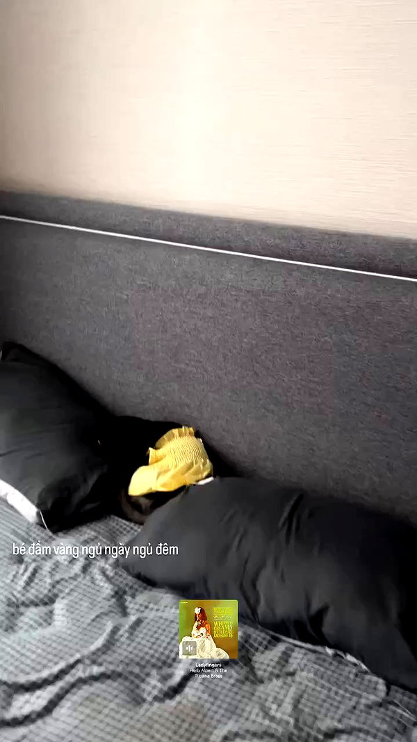 nhuthuuy archive video preview