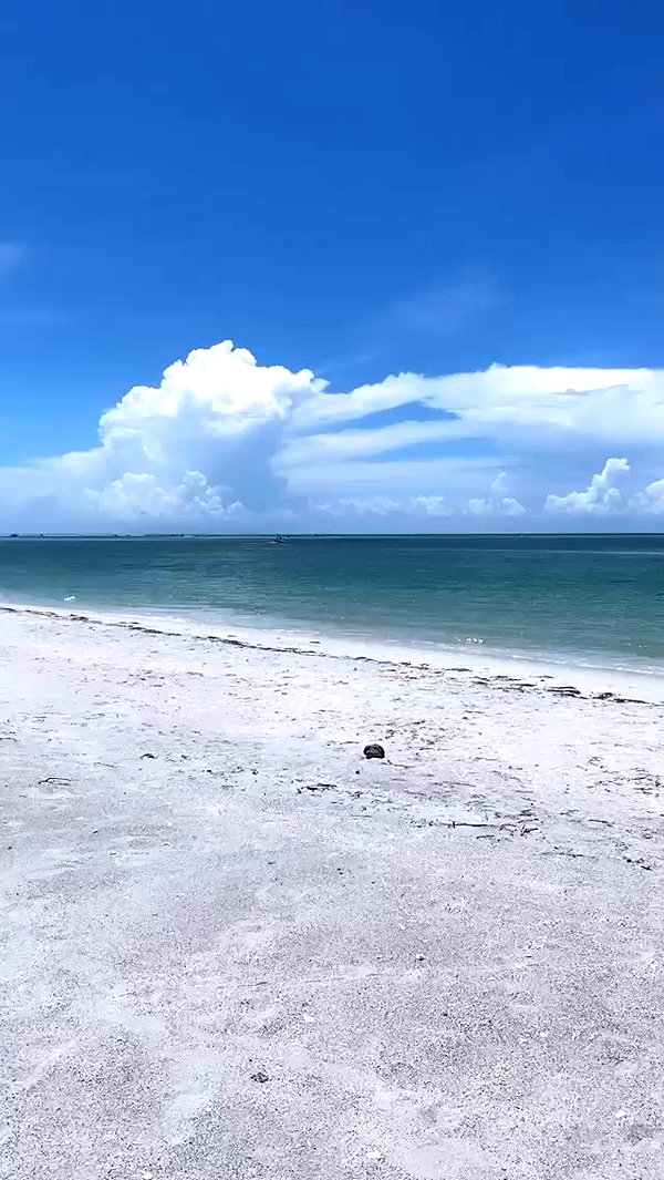 kaylasimmmons archive video preview