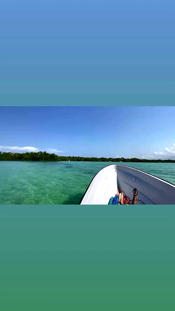 martinagiiuliani archive video preview