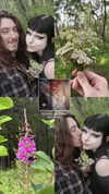 kittenfangsxx Altpins Profile Picture