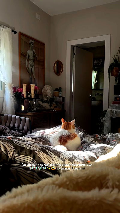 strawberryshanz strawberryshanz archive video