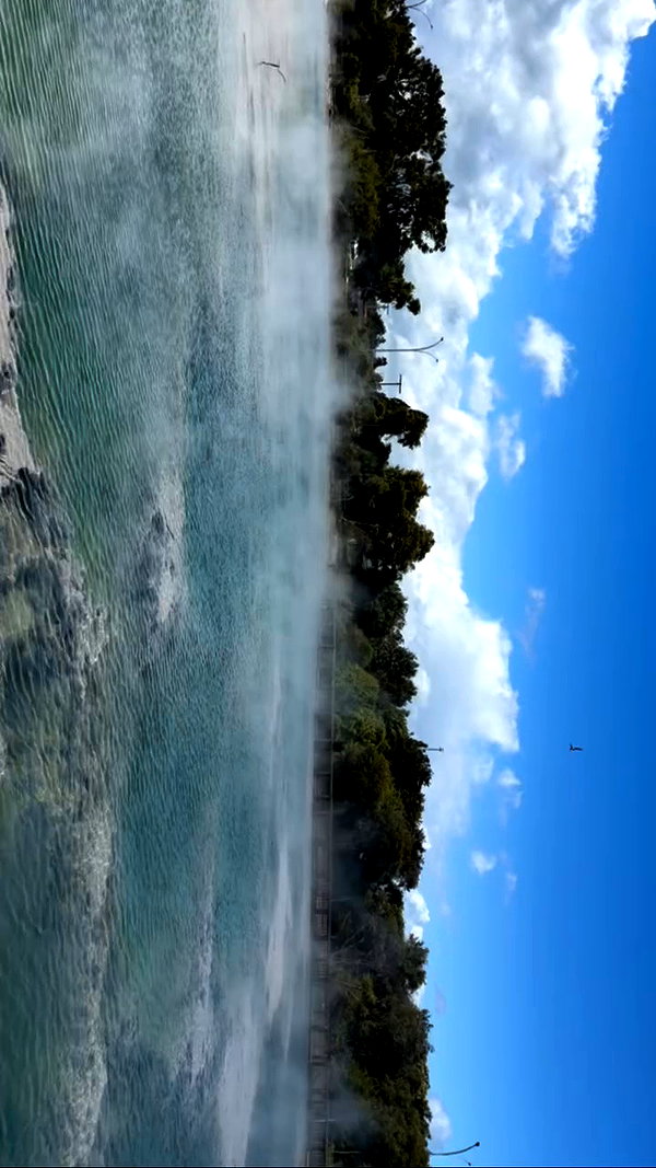 maori_cohen archive video preview