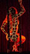 najavamp Altpins Profile Picture