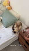 evasela__ Altpins Profile Picture