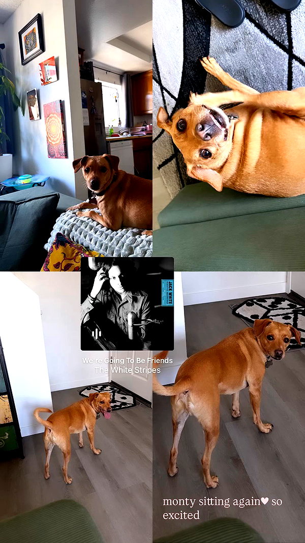 haileylayfield archive video preview