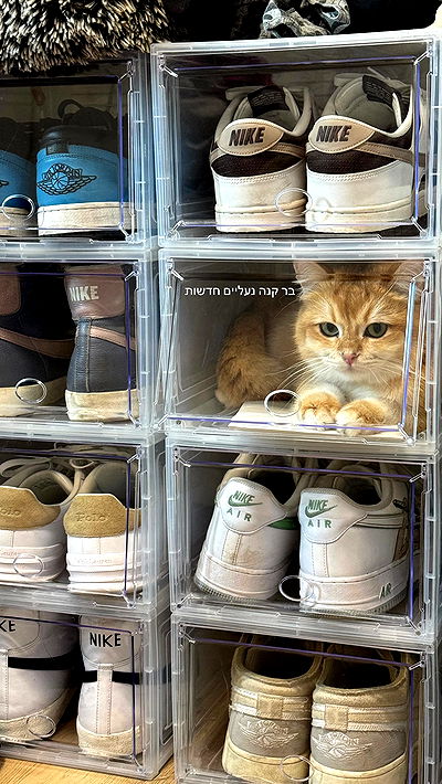 itsilanosh itsilanosh archive video