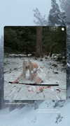 gmuhvo Altpins Profile Picture