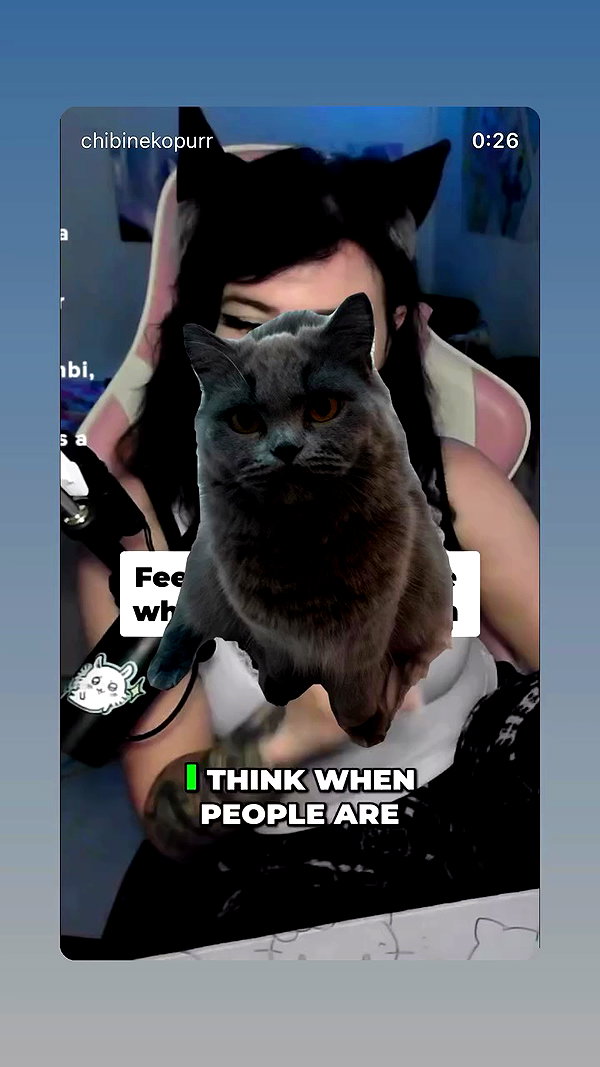 chibinekopurr archive video preview