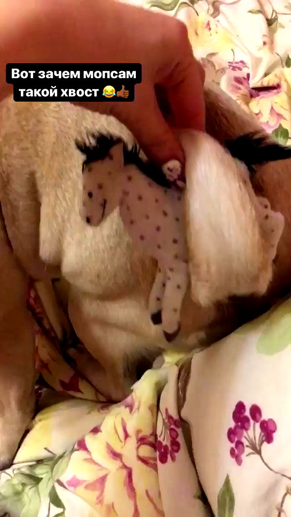 nyityam archive video preview