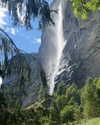 rouxroux.tv Altpins Profile Picture